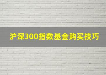 沪深300指数基金购买技巧