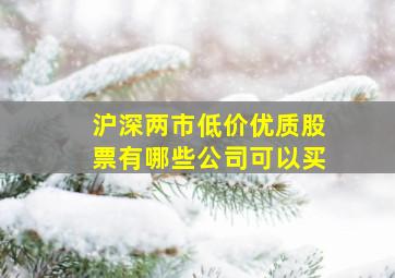 沪深两市低价优质股票有哪些公司可以买