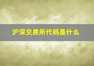 沪深交易所代码是什么