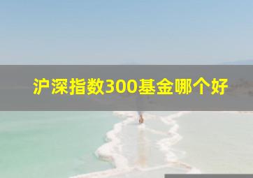 沪深指数300基金哪个好