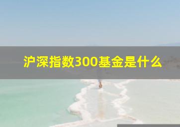 沪深指数300基金是什么