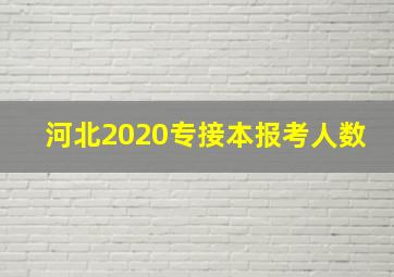 河北2020专接本报考人数