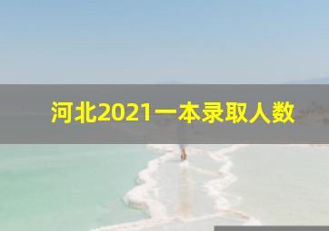 河北2021一本录取人数