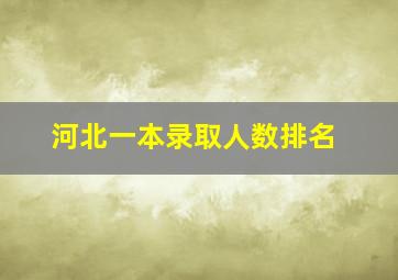 河北一本录取人数排名