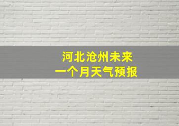 河北沧州未来一个月天气预报