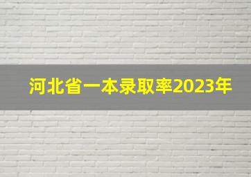 河北省一本录取率2023年