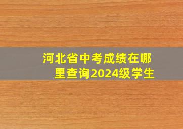 河北省中考成绩在哪里查询2024级学生