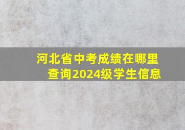 河北省中考成绩在哪里查询2024级学生信息