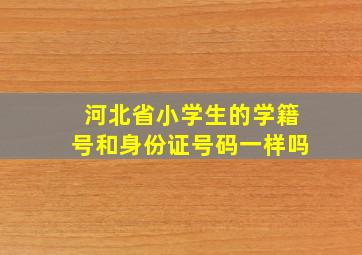 河北省小学生的学籍号和身份证号码一样吗