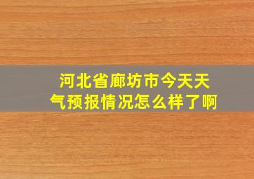 河北省廊坊市今天天气预报情况怎么样了啊