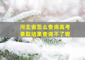 河北省怎么查询高考录取结果查询不了呢