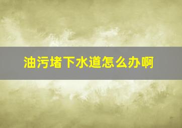 油污堵下水道怎么办啊