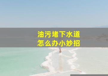 油污堵下水道怎么办小妙招