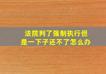 法院判了强制执行但是一下子还不了怎么办