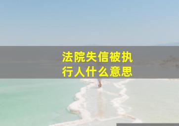 法院失信被执行人什么意思