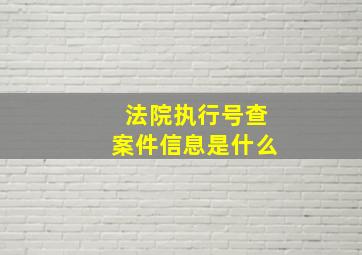 法院执行号查案件信息是什么