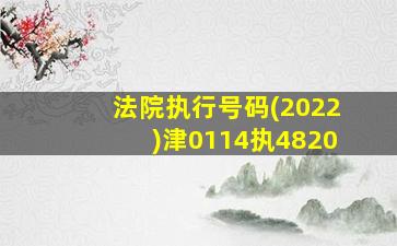 法院执行号码(2022)津0114执4820