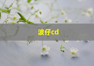 波仔cd