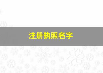 注册执照名字