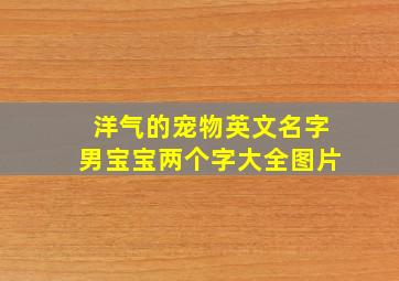 洋气的宠物英文名字男宝宝两个字大全图片