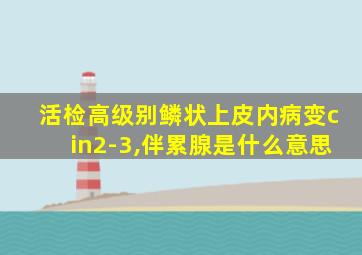 活检高级别鳞状上皮内病变cin2-3,伴累腺是什么意思