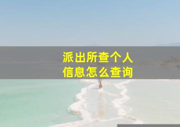 派出所查个人信息怎么查询