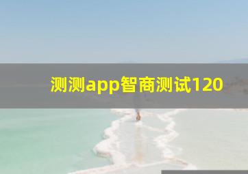 测测app智商测试120