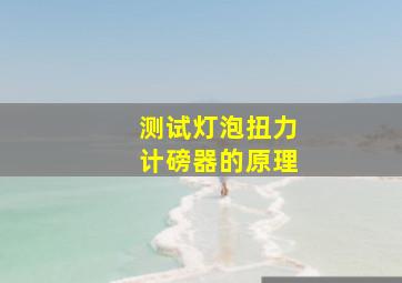 测试灯泡扭力计磅器的原理