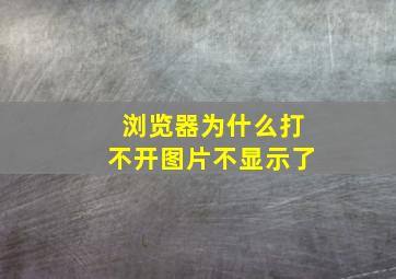 浏览器为什么打不开图片不显示了