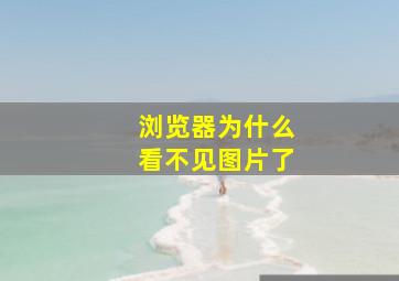 浏览器为什么看不见图片了