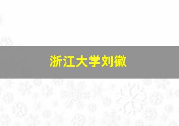 浙江大学刘徽