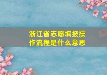 浙江省志愿填报操作流程是什么意思