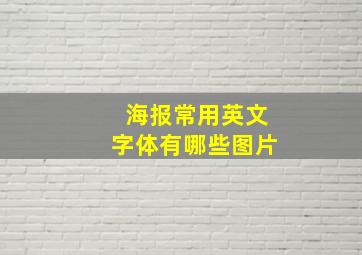 海报常用英文字体有哪些图片