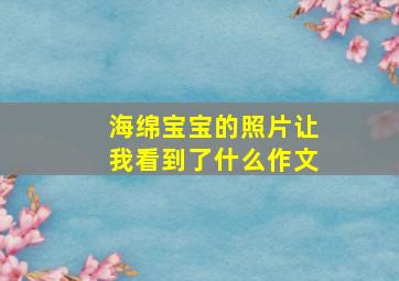 海绵宝宝的照片让我看到了什么作文