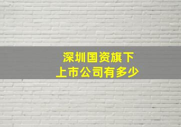 深圳国资旗下上市公司有多少