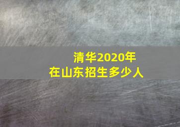 清华2020年在山东招生多少人