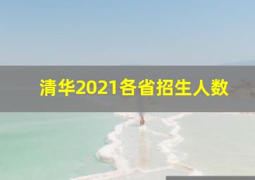 清华2021各省招生人数