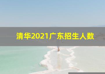 清华2021广东招生人数