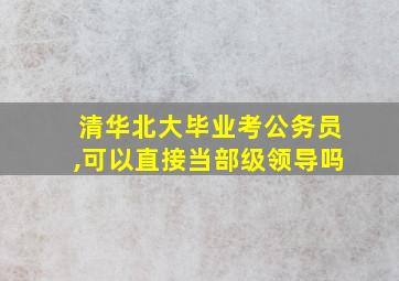 清华北大毕业考公务员,可以直接当部级领导吗