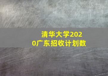 清华大学2020广东招收计划数