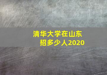 清华大学在山东招多少人2020