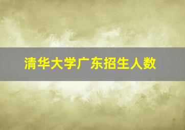 清华大学广东招生人数