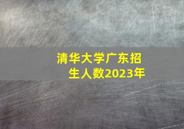 清华大学广东招生人数2023年