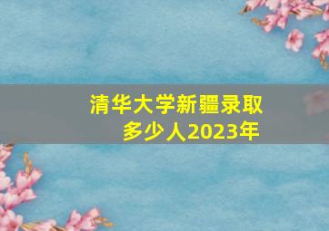 清华大学新疆录取多少人2023年