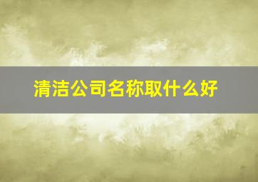 清洁公司名称取什么好