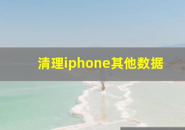 清理iphone其他数据