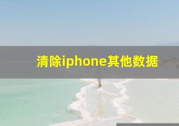 清除iphone其他数据