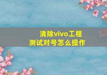 清除vivo工程测试对号怎么操作