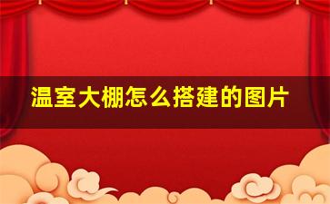 温室大棚怎么搭建的图片