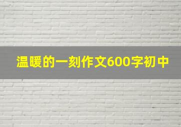 温暖的一刻作文600字初中